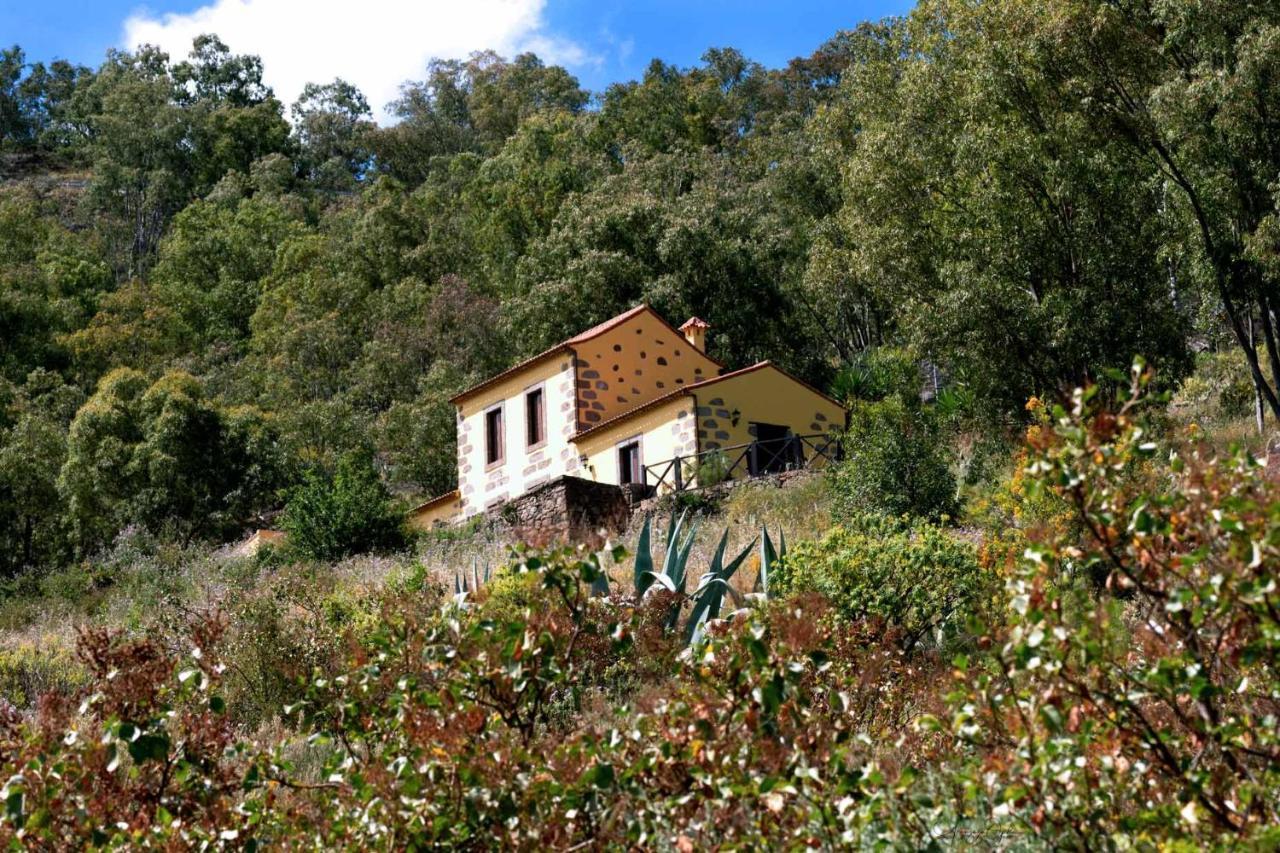 Casa Rural Las Caldereras Teror Ngoại thất bức ảnh