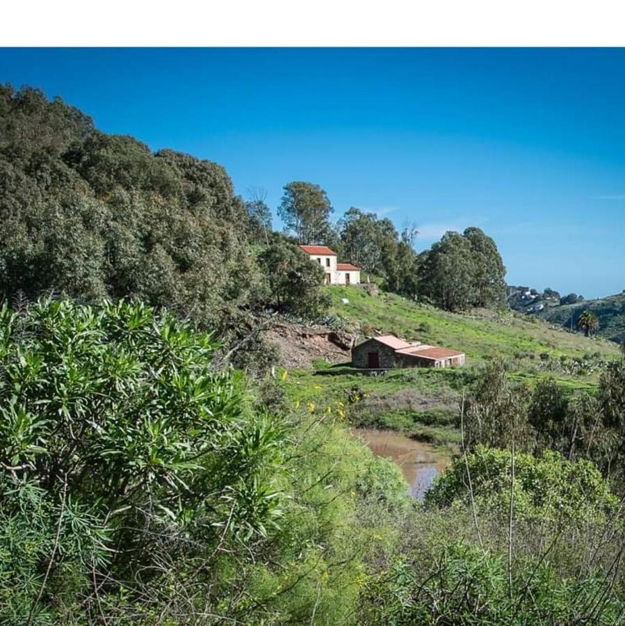Casa Rural Las Caldereras Teror Ngoại thất bức ảnh