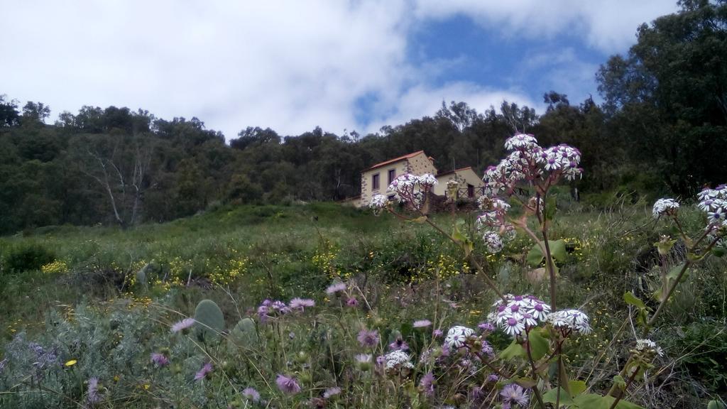 Casa Rural Las Caldereras Teror Ngoại thất bức ảnh